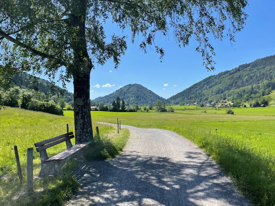 Forstweg Richtung Hündle