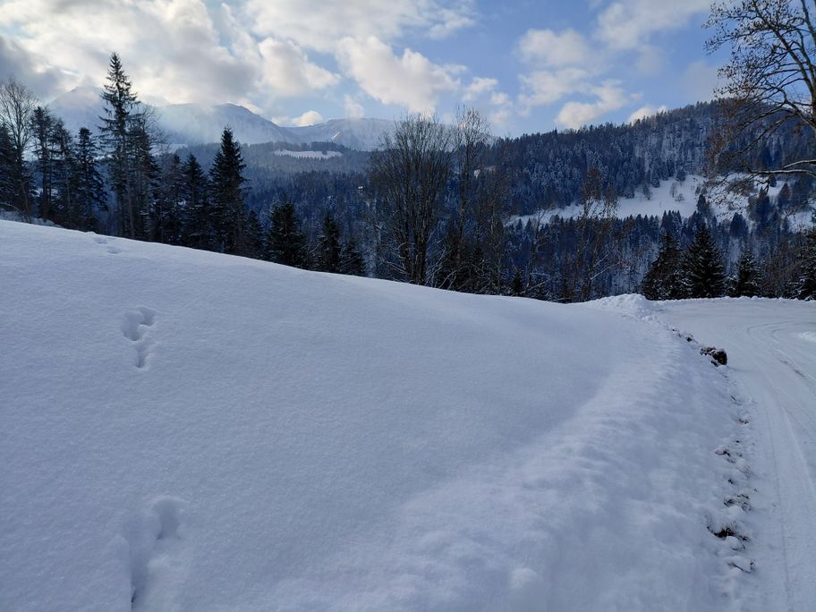Winterwanderung rund um Hittisau