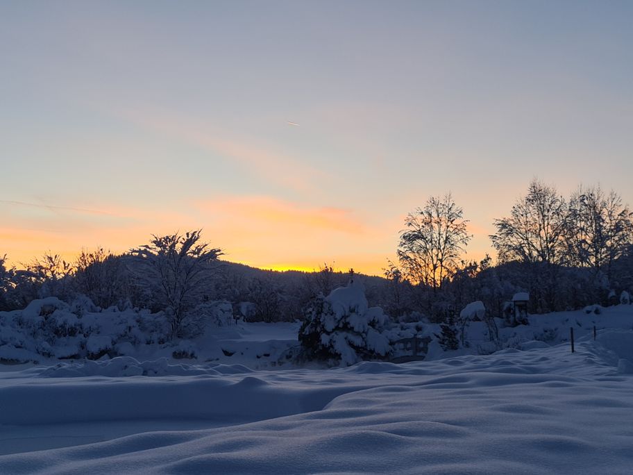 Winter im Naturparadies (8)