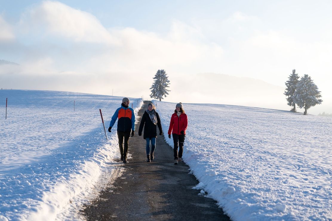 Winterwandern bei Buflings