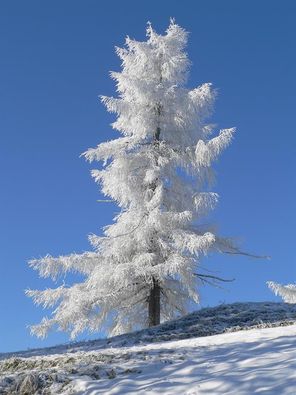 061227 037