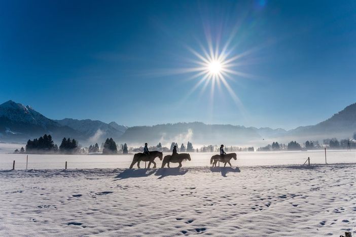 Wintersonne