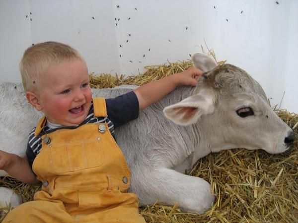 Tiere zum Anfassen