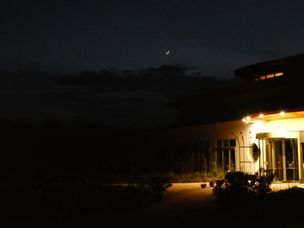 Dr. Michael Schneider, Primavera Life GmbH