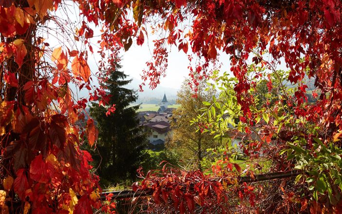 Ausblick auf Bad Oberdorf