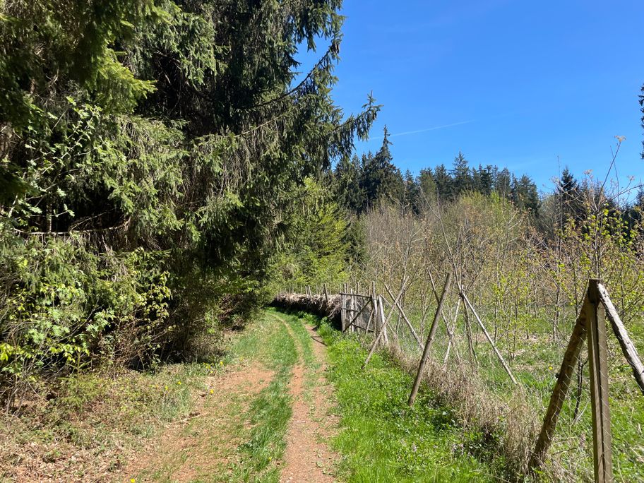 Wegeabschnitt