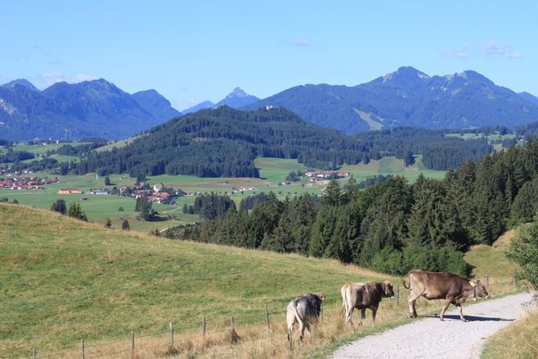 Wandern Seeg