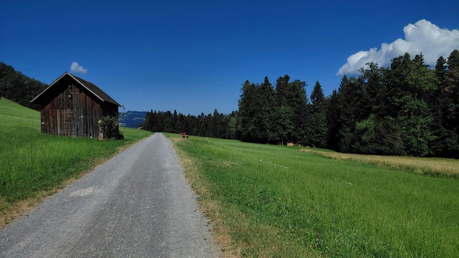 Rechts vom Weg liegt ein Teil des Örtlichen Schutzgebiets Nord