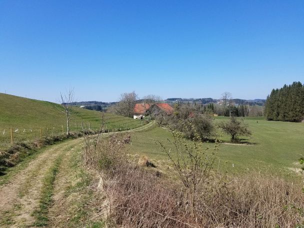Vor Bürsten