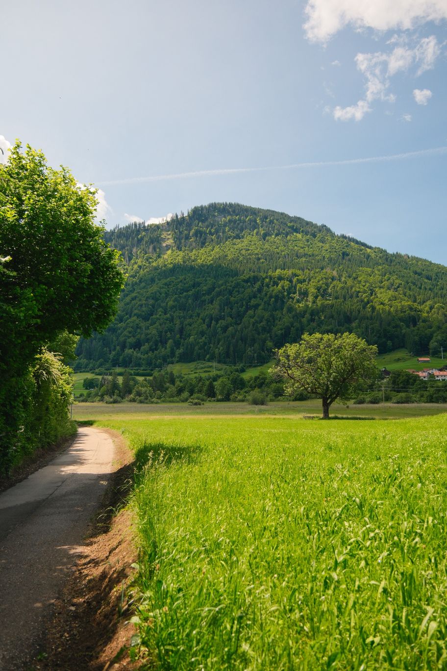 Landschaft am Kleinen Alpsee