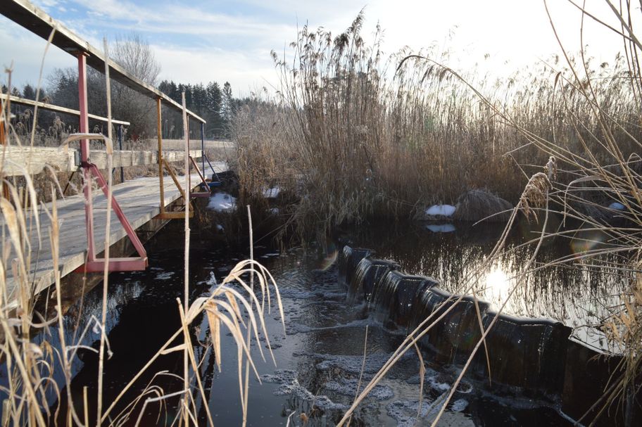 Winterliche Wanderung um den Elbsee