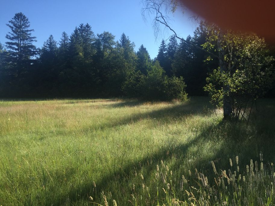 Naturschutzgebiet Bodenmöser