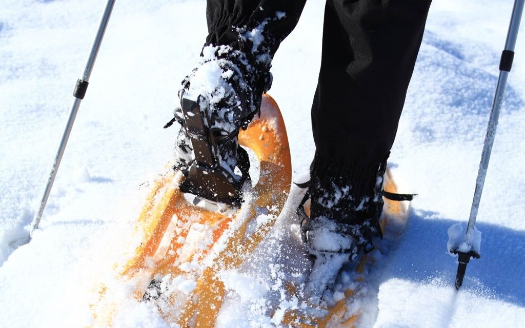 Schneeschuhwanderung durch winterliche Landschaft