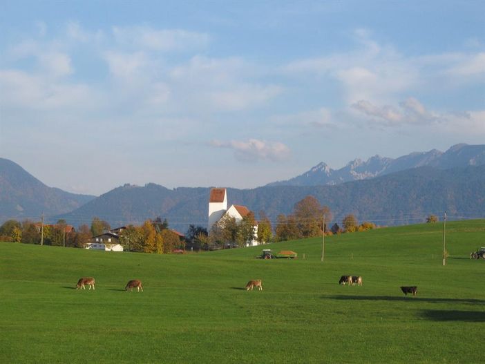 St.Urban und Kühe
