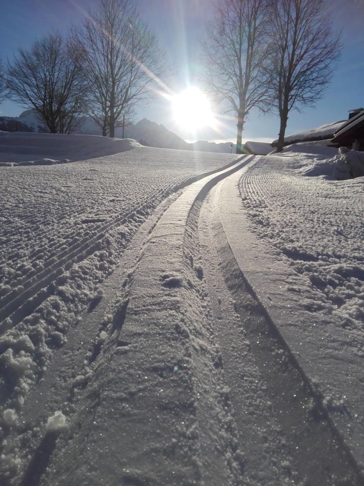 Langlauf Skating für Anfänger