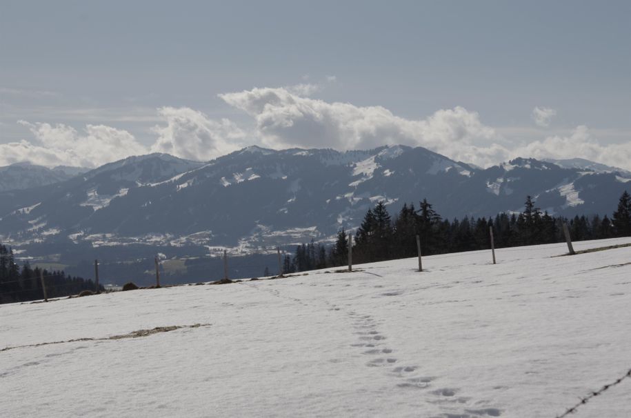 Winter am Grünten