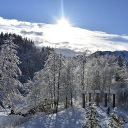 Bild 20