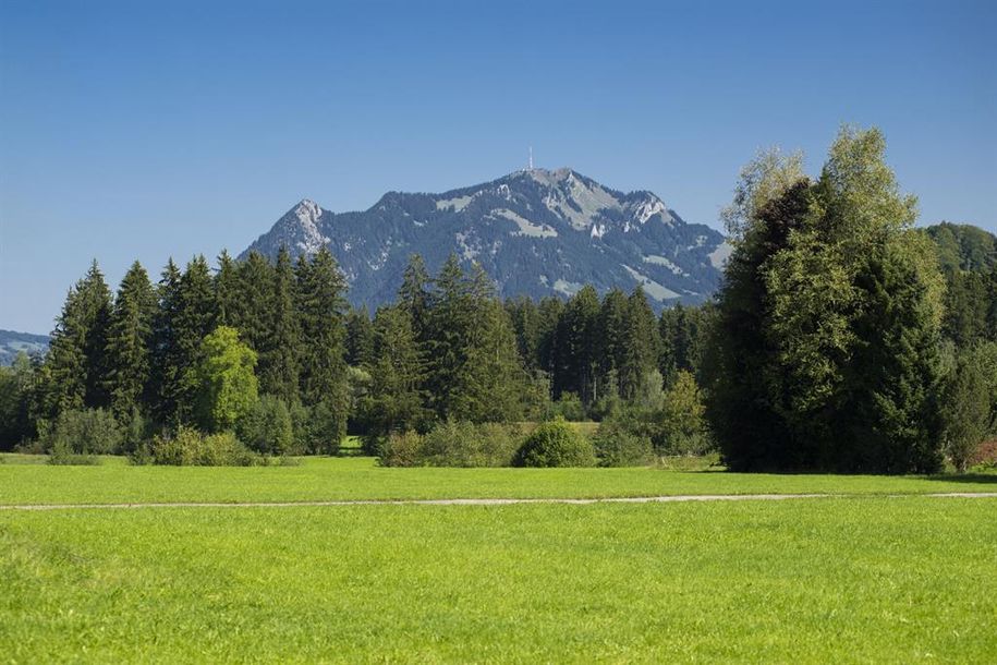 Grüntenblick