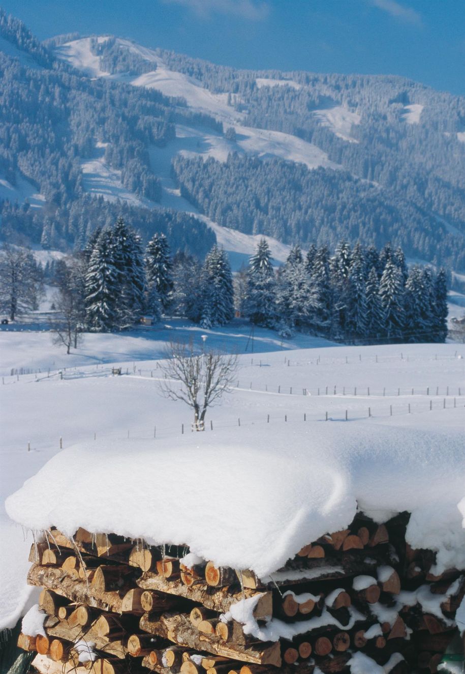 Holz_Winter_g