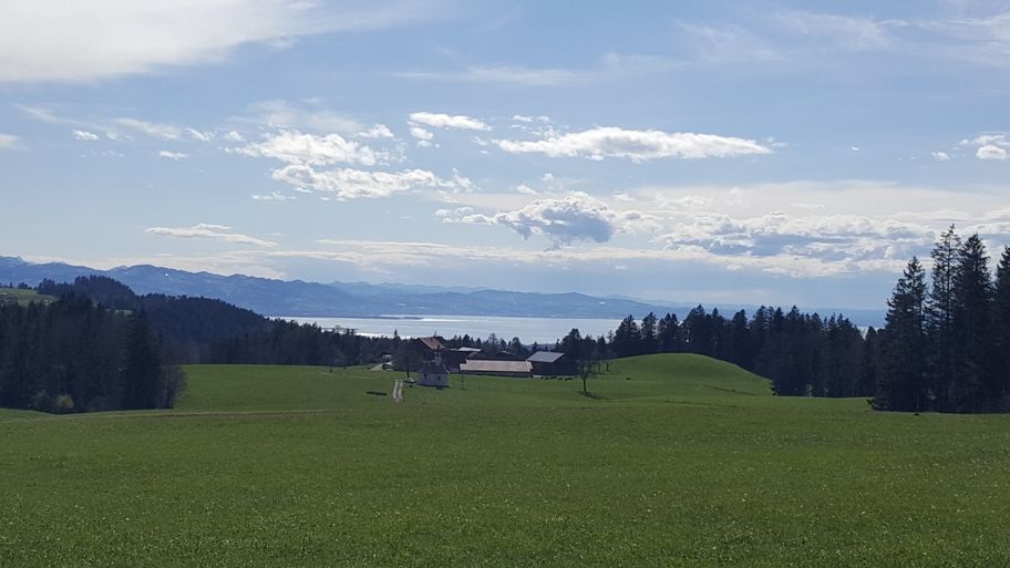 Blick von Lötz zum Bodensee