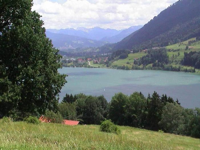 Blick über den Alpsee von N-W