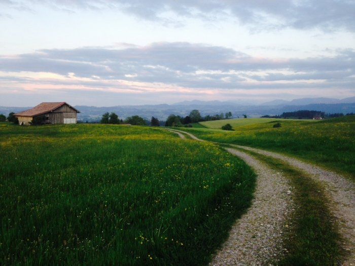 Rund um‘s Haus