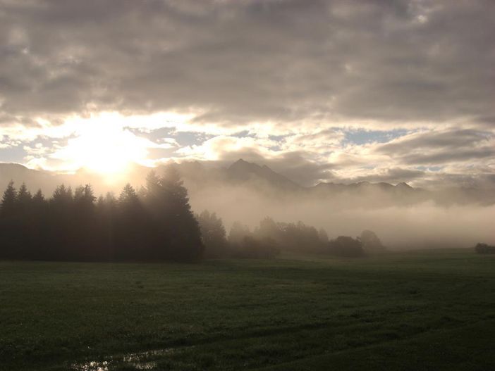 Blick FeWo Osten