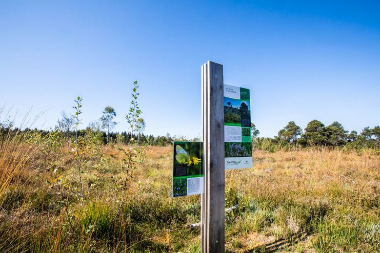 1_Arrisrieder Moos Infotafel2_Savarino