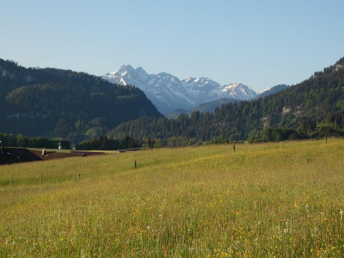 Blick vom Südbalkon