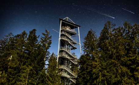 Waldwelt Skywalk Allgäu