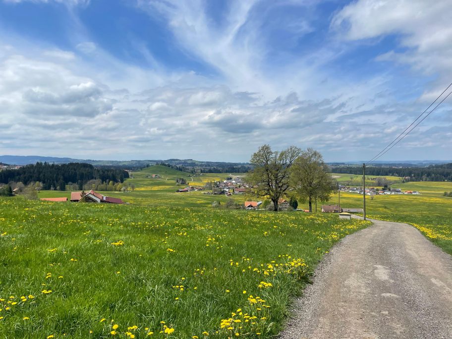Frühling im Westallgäu