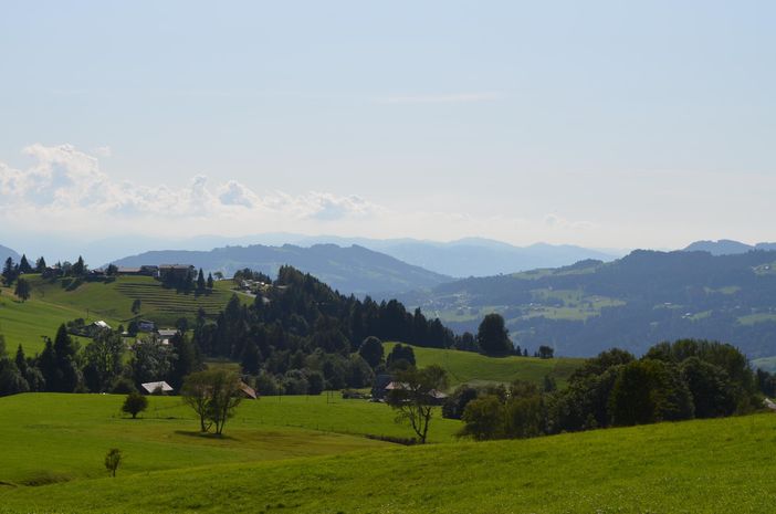 DSC_1822