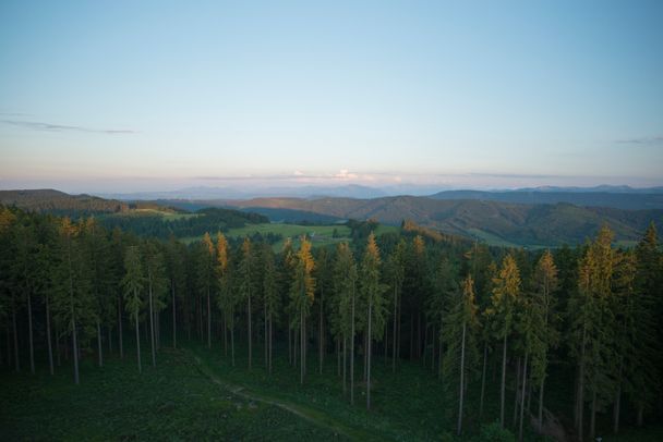 Blick über die Adelegg vom Schwarzen Grat