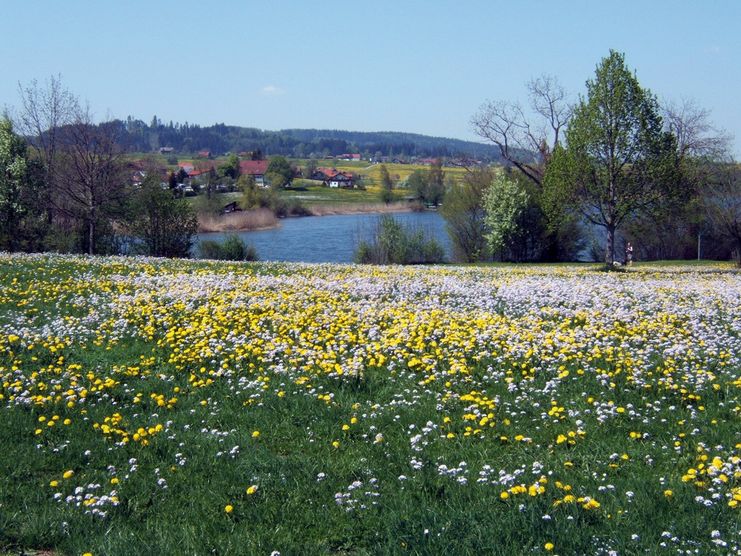 Ettlis-Einzenberg-Wollmuths-Hupprechts