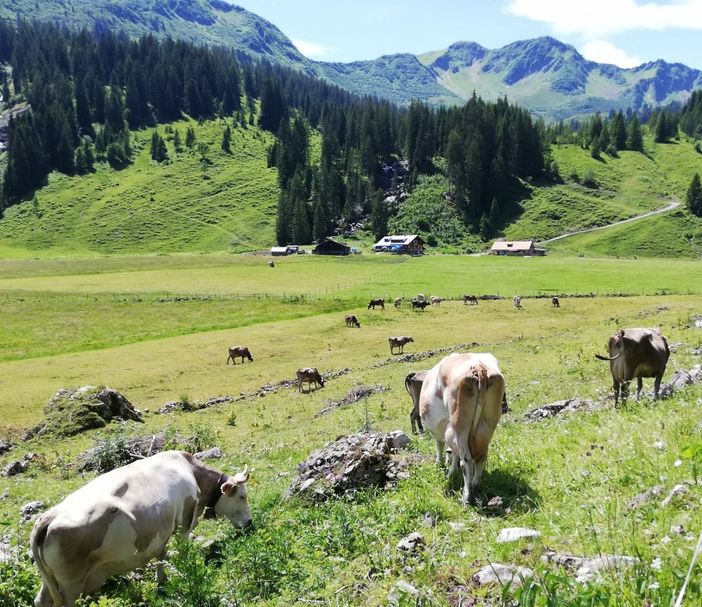 im Kleinwalsertal