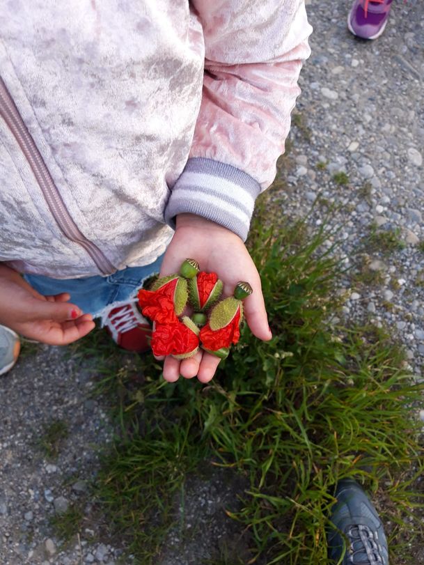 Aus Mohnblumen kleine Blumenkinder basteln