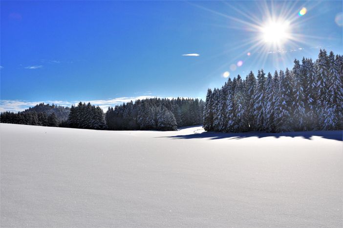 Winter_4