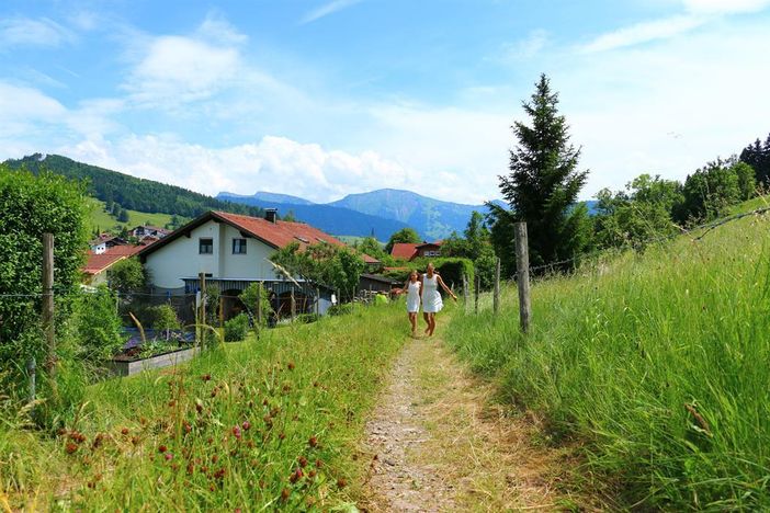 Blick auf den Hochgrat