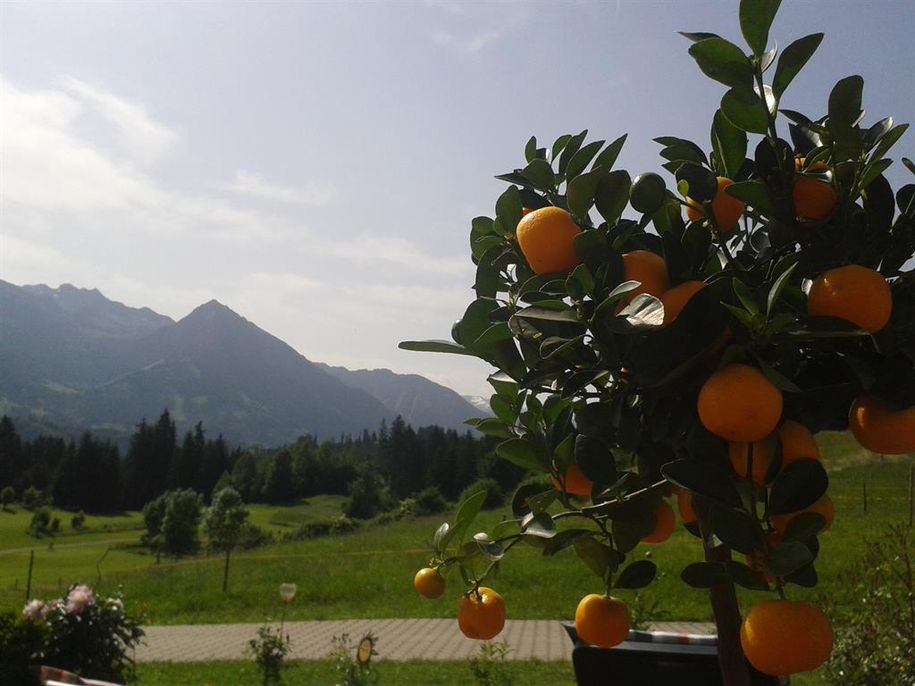 Ausblick Haus