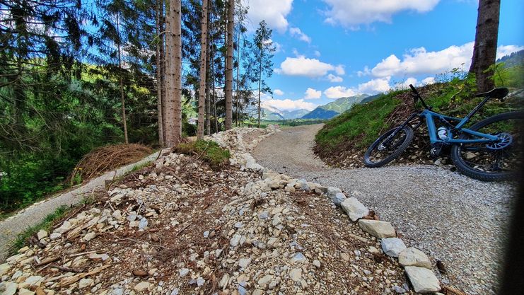 Mühlwaldtrails