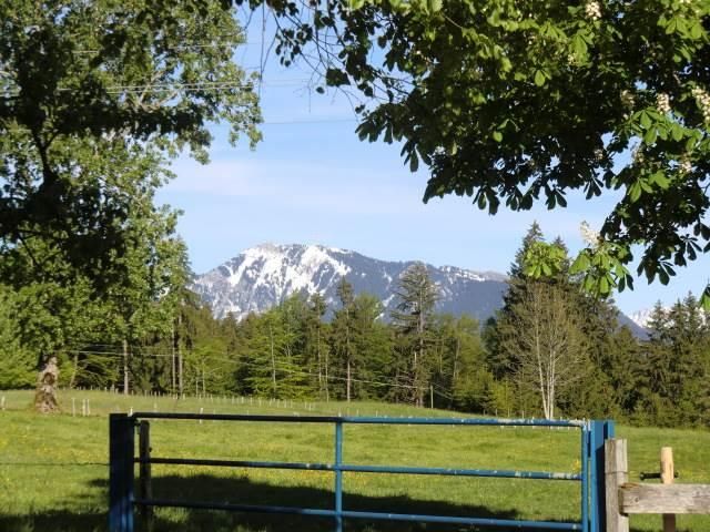 Grüntenblick
