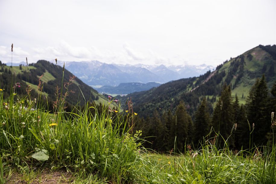 Blick auf die Allgäuer Berge