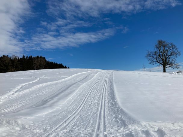 Rund um Berg