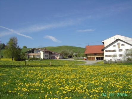 Frühlingsstimmung auf dem Hof