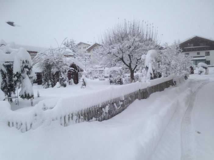 Winter 2021