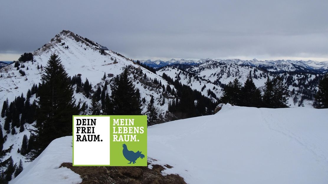 Von der Hochgratbahn - Talstation auf den Seelekopf