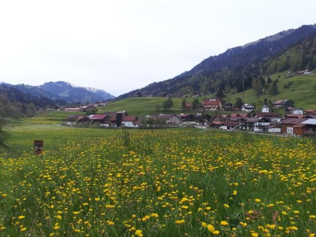 20140506_133532