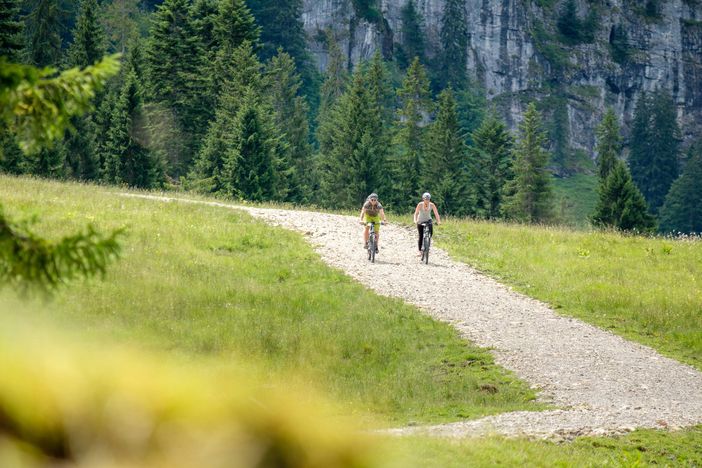 Biken in Balderschwang