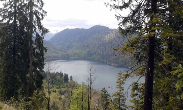 Wildromantischer Alpsee