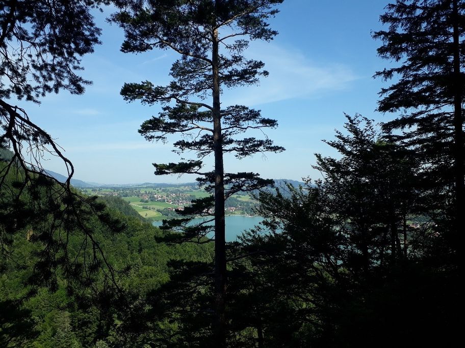 Blick auf den Weißensee vom Zwei-Seen-Blick